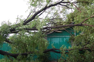 дерево упало на гараж
